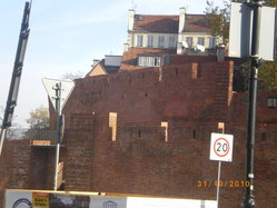 IMGP2465_resize.JPG