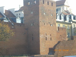 IMGP2467_resize.JPG