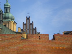 IMGP2484_resize.JPG