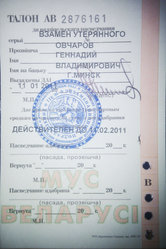 temporary_licence.jpg