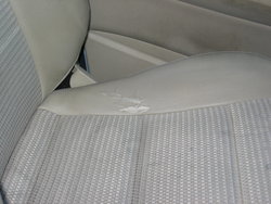 IMG_8493_resize.JPG