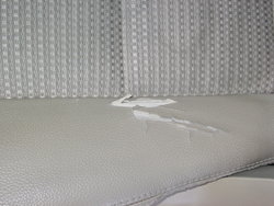 IMG_8491_resize.JPG