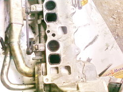 PIC-0043.jpg