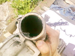 PIC-0045.jpg