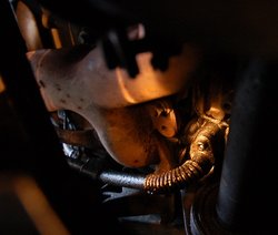DSC_1198.JPG
