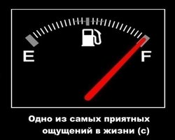 x_29d5722e.jpg