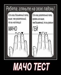 x_8ea48b19.jpg (39.14 КБ) 15882 просмотра x_8ea48b19.jpg