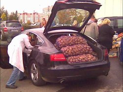 Audi-i-kartoshka.jpg
