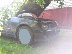 IMG_20130628_075626_1.jpg
