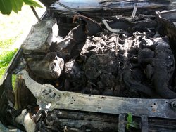 IMG_20130628_075556_1.jpg