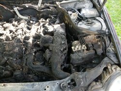 IMG_20130628_075551_1.jpg