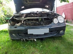 IMG_20130628_075611_1.jpg