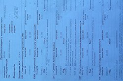 IMG_20130813_052939.jpg