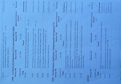 IMG_20130813_053452.jpg