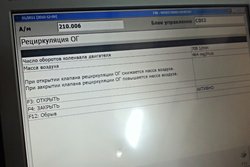 IMG_20131028_115239.jpg