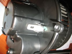 IMG_4364.JPG