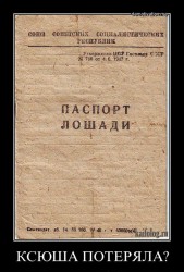 1320739710_046.jpg