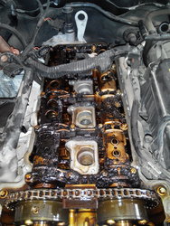 20150724_113324_resize.JPG