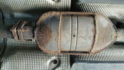 IMG_20160527_112257.jpg