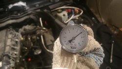 DSC_1555.JPG