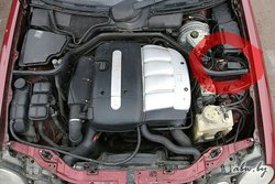 IMG_20170302_110258_313.jpg
